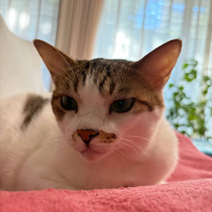 D35a29f3 6dc1 4969 82a5 3c176008eaf4 1763957169193