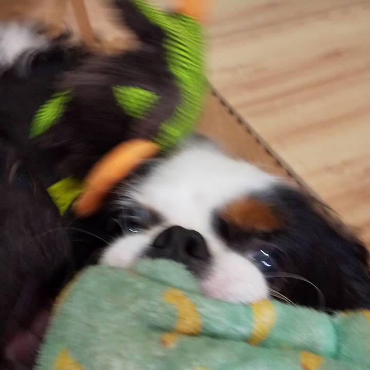 D35a331e a699 4b4b bed2 df2e8278a82b 1567260035448