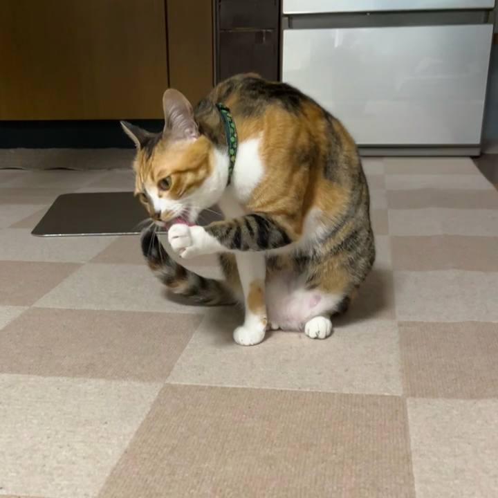 D35a3985 82c7 4e95 bbb5 9f73d3341009 1687396313231