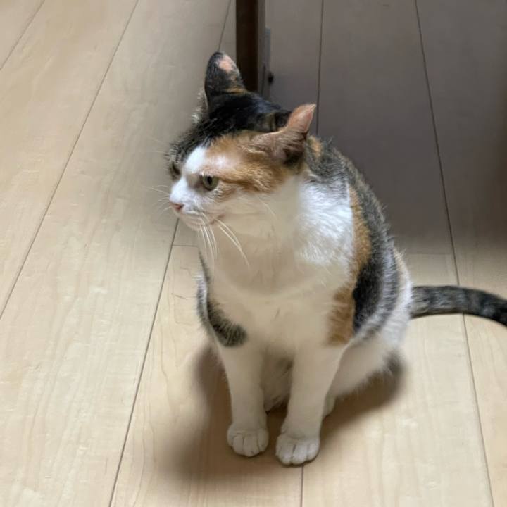 D35a4008 9a58 49ae 9b4c 2d41fafa7a29 1659712545867