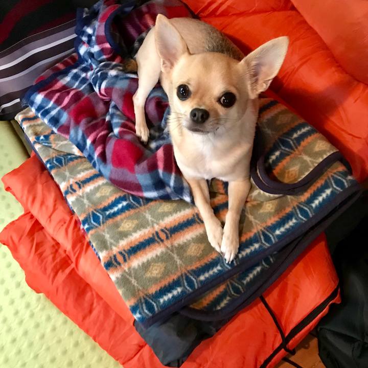 D35a4f01 8c6e 4c52 8f65 cb4650bdc250 1525311436283