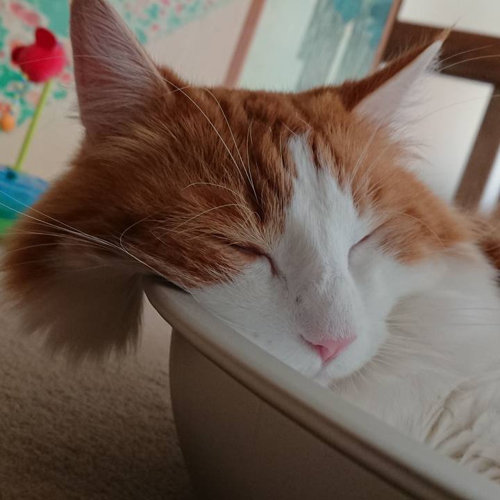 D35a6a8c 14b3 4012 aaa9 0e80f759c424 1533359960803