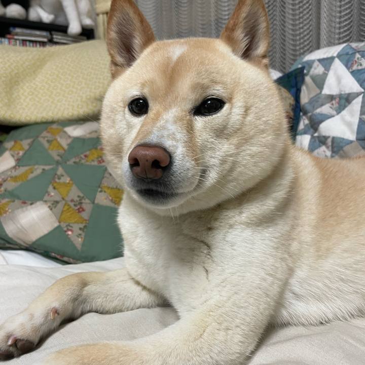 D35ab008 d4e6 42c1 9d68 b8c0a18ad24f 1681298487509