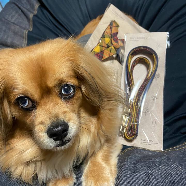 D35aba15 6b1a 4725 9783 00ce9c69b4b1 1646948637188