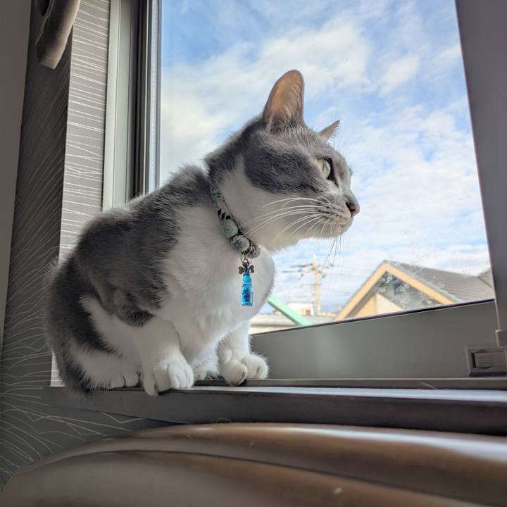 D35b21e8 548b 4754 9316 3d31910ec5e8 1760829815474