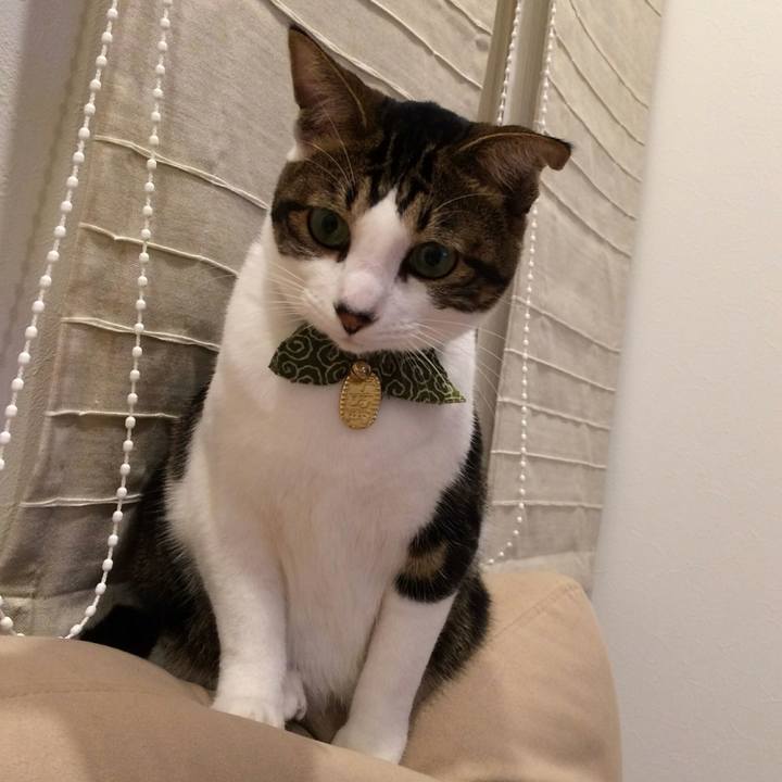 D35b4875 4fc3 4e12 a347 b63b9767177d 1515069092520