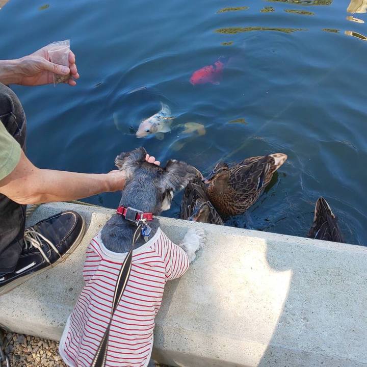 D35b593c 2801 4ee8 acf2 70aa93a0d395 1728716604350