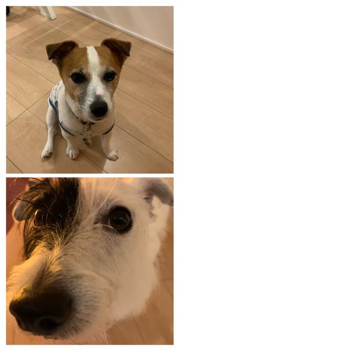 D35b6261 0ed6 4d68 95cc e36509b9f85c 1630750610664