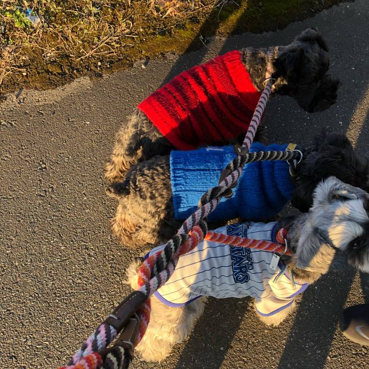 D35b6b23 7e03 433b b0ea 7327422c77c1 1575805308619