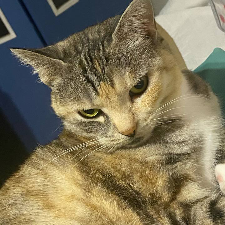 D35b8f07 29a0 479d b9ac 92b6208bc772 1616686987778