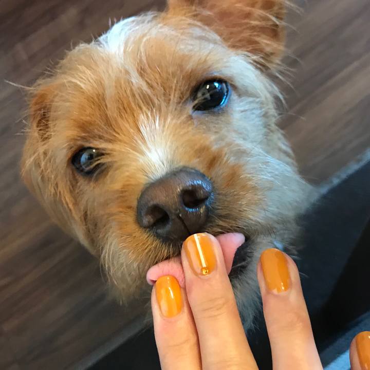 D35bd851 1a77 47c0 abcb d770f468ed11 1542178877255