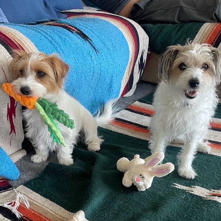 D35bf17c 7633 478b b294 f02c9be0b4ce 1776515978296