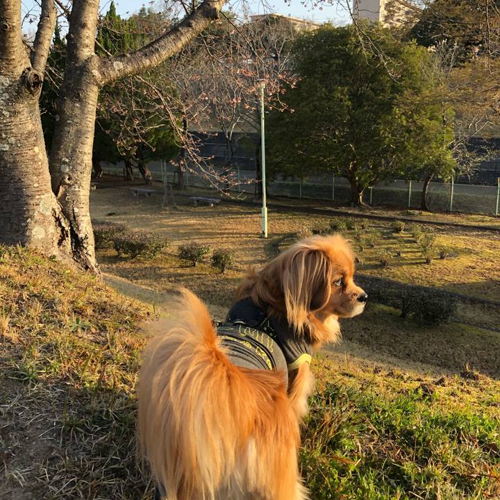 D35c1807 12d4 4e23 b5bf 974c1105be2f 1553639872809