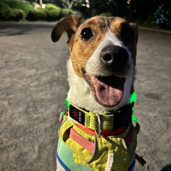 D35c3236 7fa7 4fd9 972d 1b69b3e4e376 1718755867194