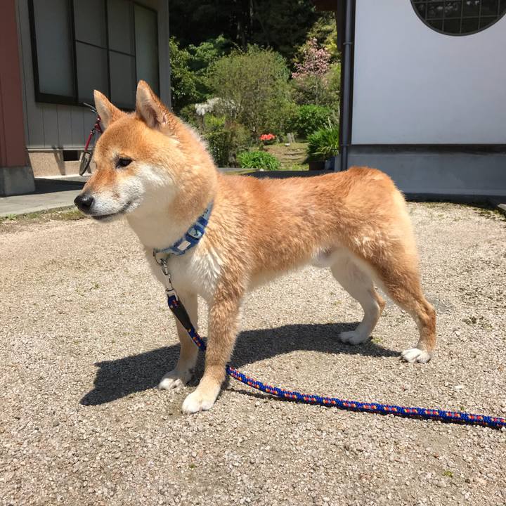 D35c896f 51d1 4ddb 8624 fe19bd2d2cd2 1587954984163