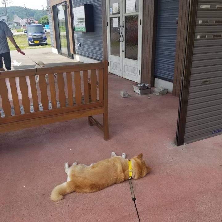 D35c928e ef78 4b0a 886d cdc71973ccee 1687742883324