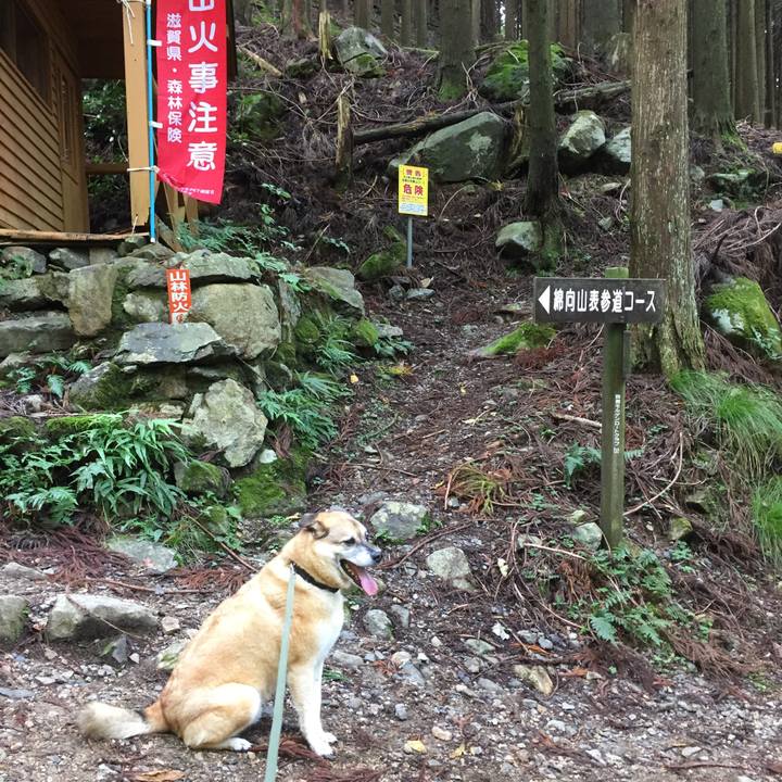 D35cad8b 878b 4334 8087 577434b60b6d 1572157016585