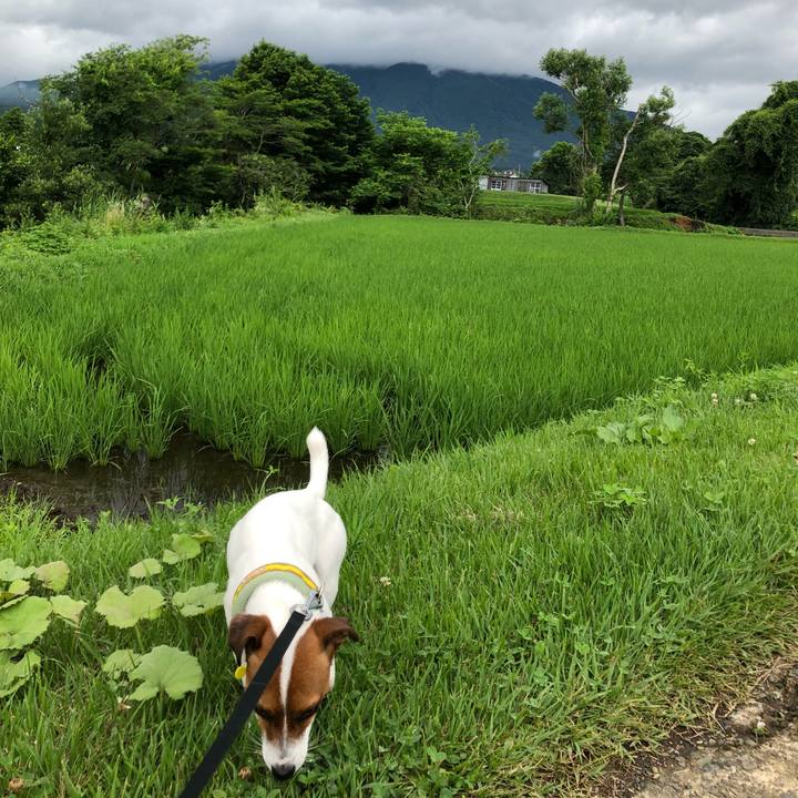 D35cd59a 1228 4e85 ab3e 54d829dbfdd2 1530875743417