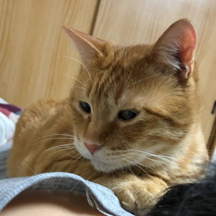 D35ce501 c0d7 449a a222 be6ba6dfeb69 1583238229458