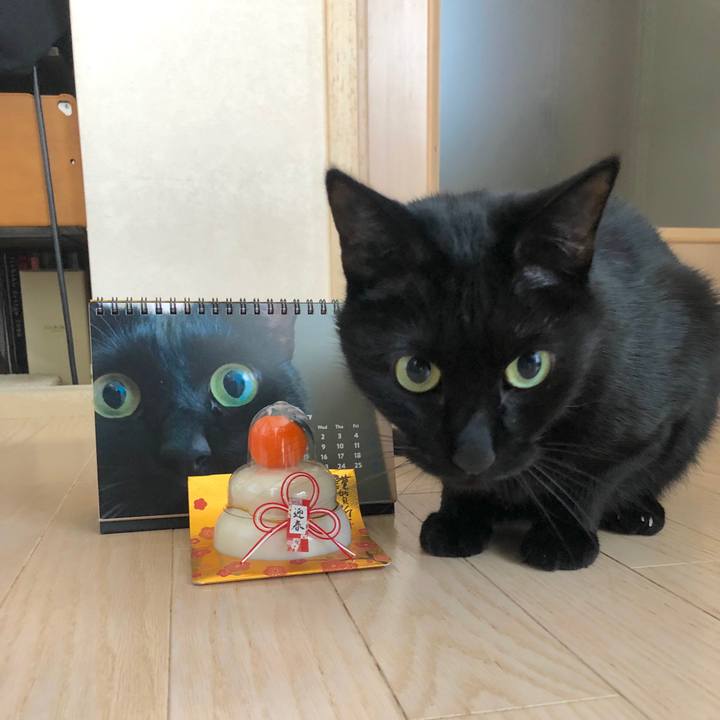 D35d1240 4f38 4039 89fc 7e15e4186827 1546300508811