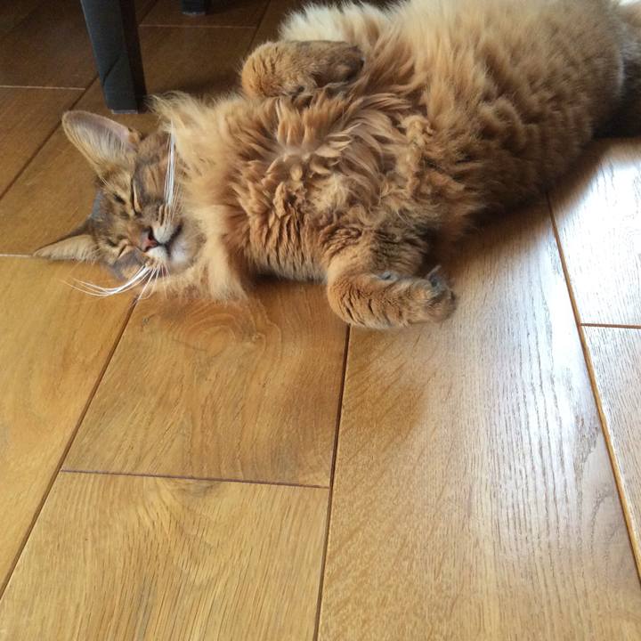 D35d21ff 7c9b 46fa b610 1c5db1fd0fe3 1600997399690