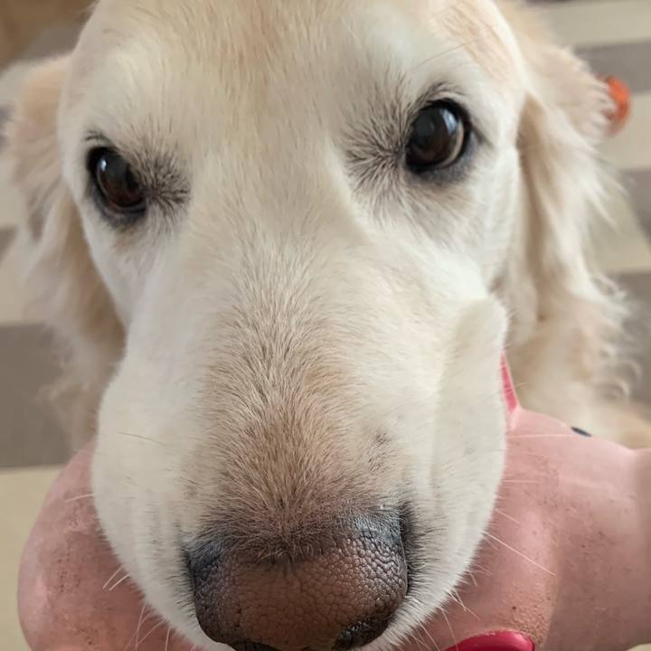 D35d6cbd 6bd8 4ae7 8bf8 0f44899ddd1d 1666735448617