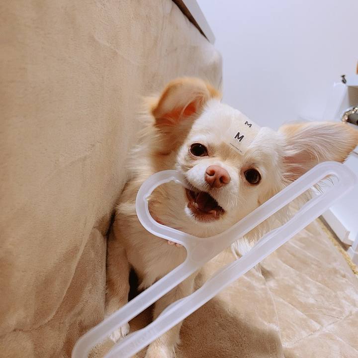 D35d856a 1ece 4f58 8474 3d5e6e32bd32 1614568985319