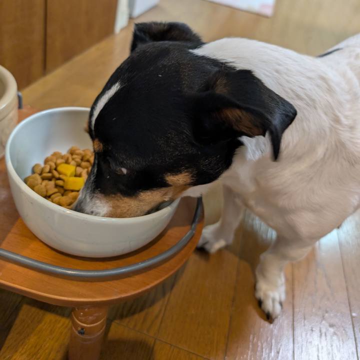 D35d9a4d 7a9d 416b b9c3 ca49744ecb4a 1766401598391