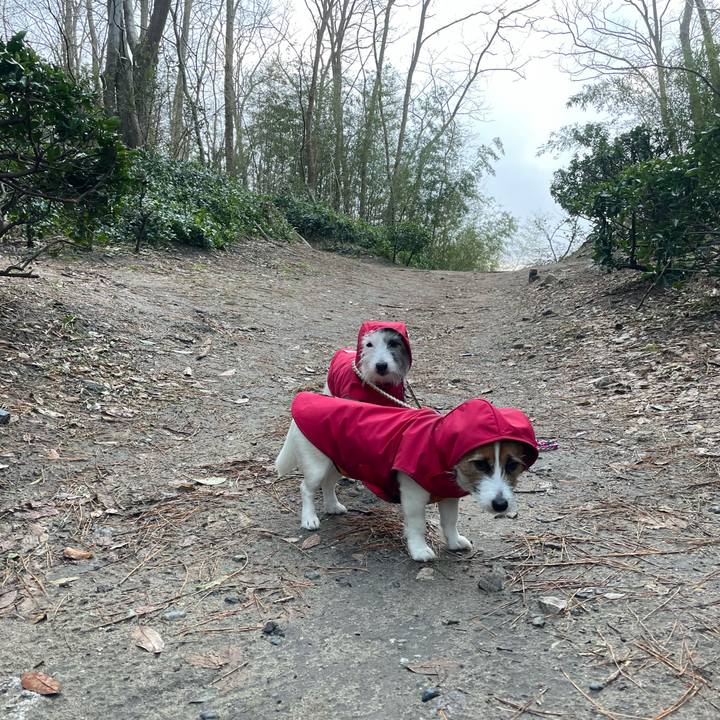 D35db3eb ab40 4d3d a5e9 ae1a6e005321 1738279164354