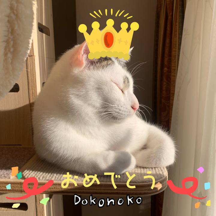 D35db9c6 64eb 4103 bb13 11ff823f3ca3 1686009865315