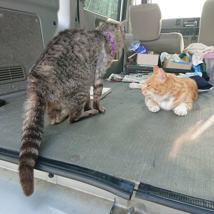 D35e24fb 6a3e 4995 a75e 951b2c7a4bf3 1593247033876