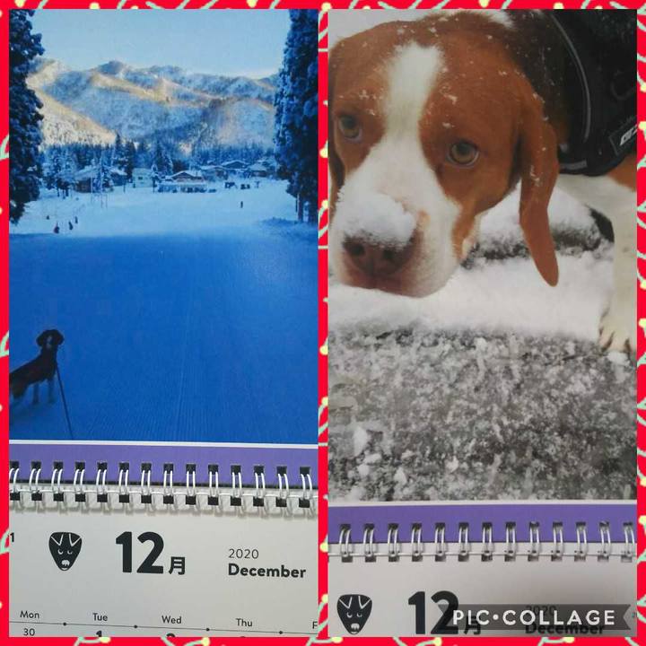 D35e2be0 fa32 4d66 b78e cae6d1535ef8 1606824648079