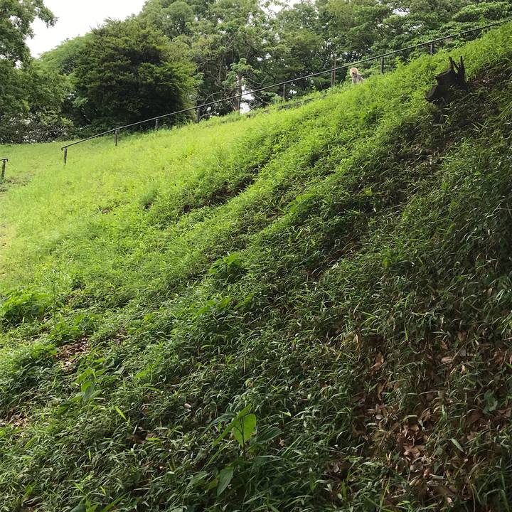 D35e8dbe af4d 451a 9efb 16bc46218357 1621221893605