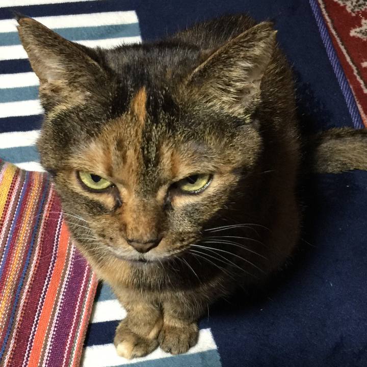 D35ea964 713b 4259 a67c d0529c81e50f 1546531236193