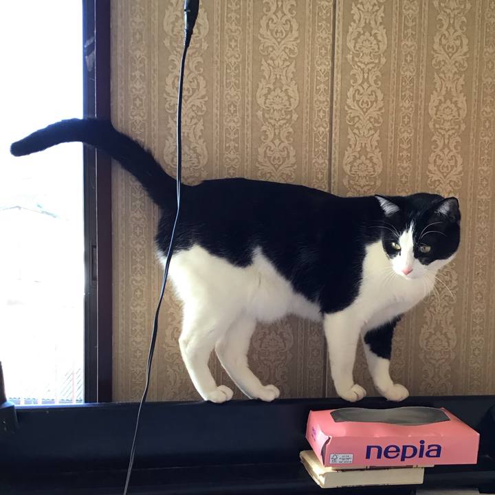 D35f371f 38c9 4a3e b0aa 8fa0554268f2 1677742495344