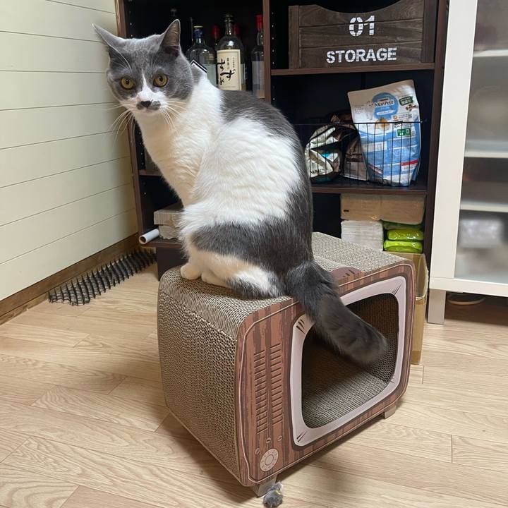 D35f4a6d d6be 4014 8569 e2546811259a 1669274572867