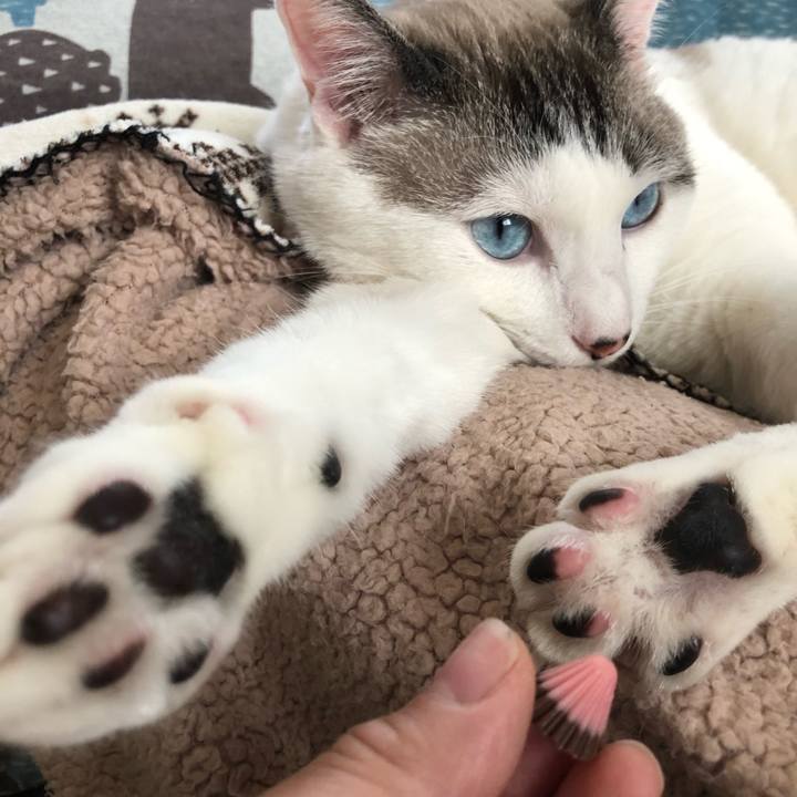 D35ff846 bcbf 442a 9233 24c175abe361 1605580927137