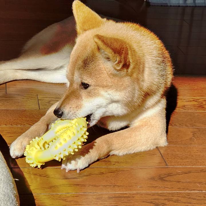 D35ffdd4 7623 4272 83f9 21ac67a100cc 1643864023733