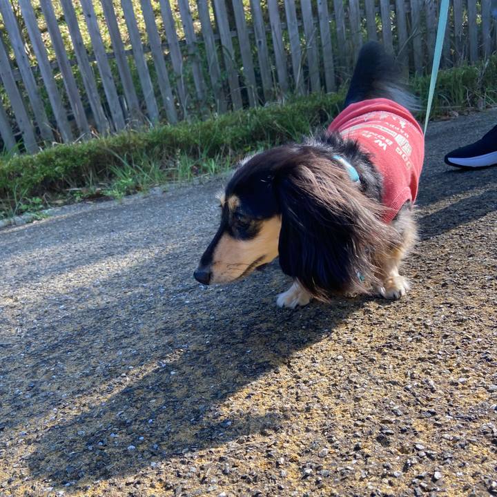 D3602a4b e940 4096 bedd 3b9342db3e35 1730845266349