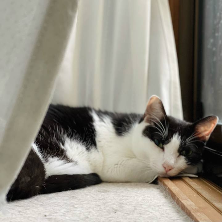 D3607a82 3da5 4691 9c33 f643e9de9a2b 1631844077409