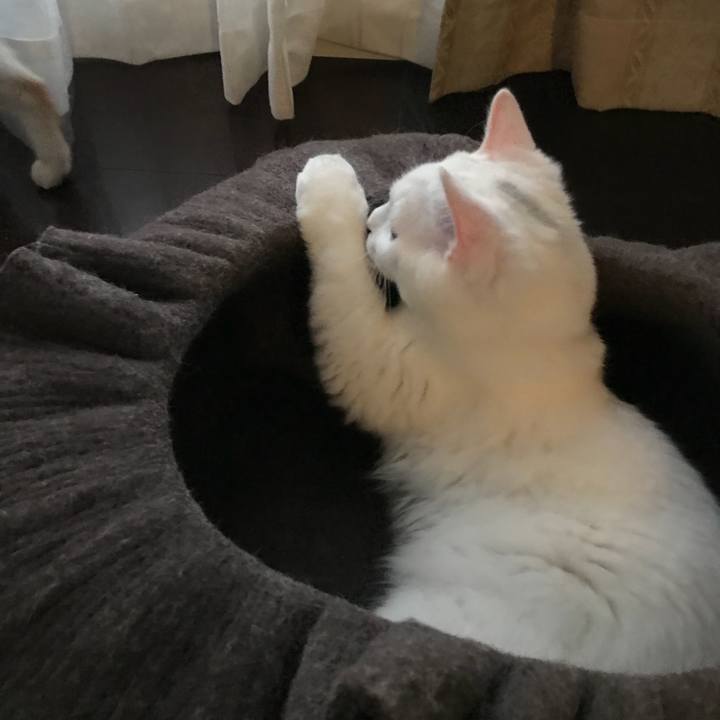 D36099d5 384b 49ac 80ad ab23a32a0f92 1513639833140