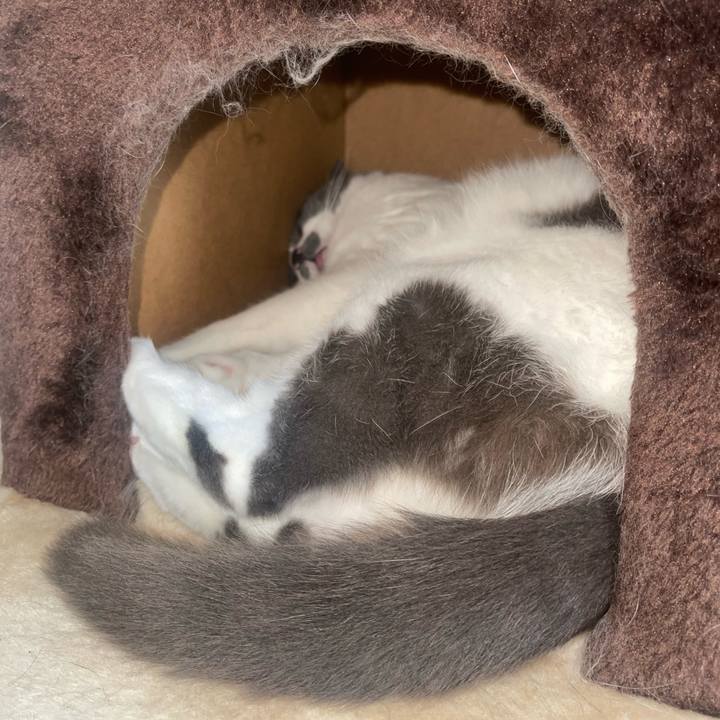 D360c7b3 6425 4c82 9890 1b4350986a30 1756355274313