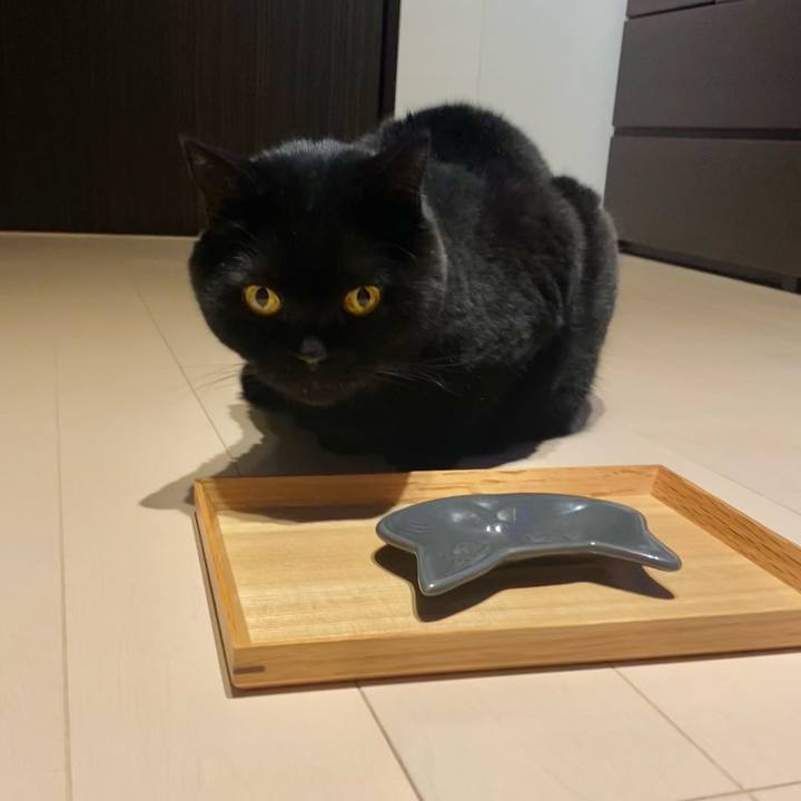 D360dc6c 9fb2 4287 b00d 6fda87b9b21f 1761392993756