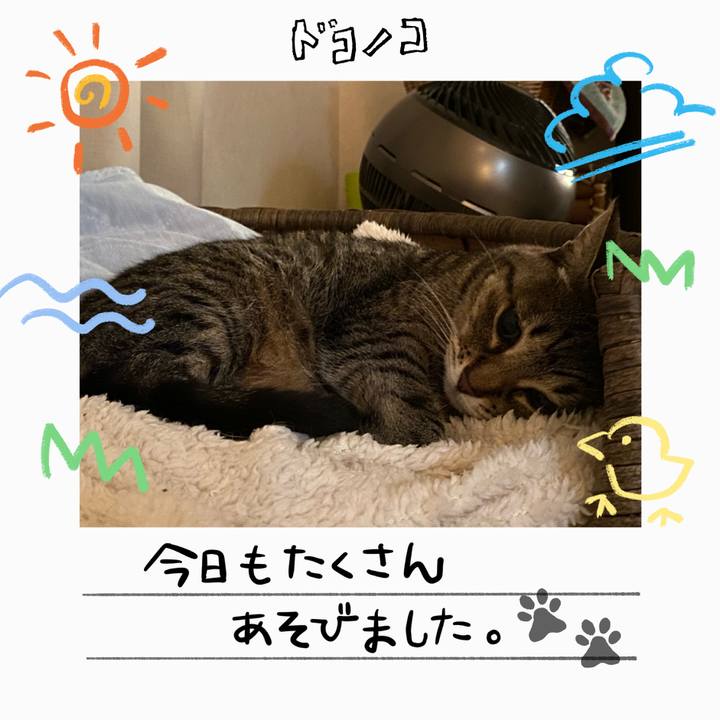 D360fee5 349e 46db 94a8 fcadd556dd6f 1755357462168