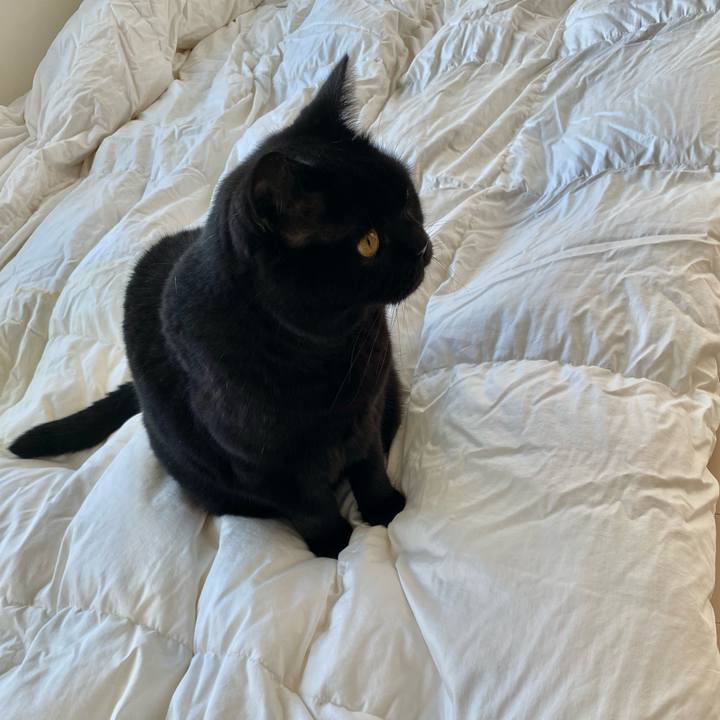 D3610d18 2a65 47e7 96cc 1db1062136c1 1698121817477