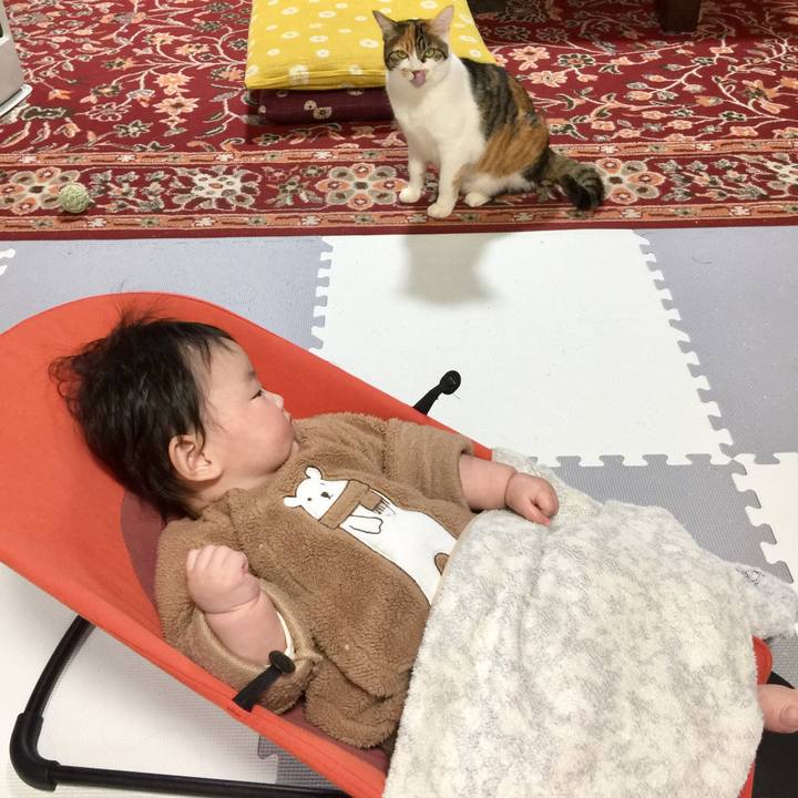 D36110d9 08b1 460c 9e0b 2b7668e6b342 1674009883149