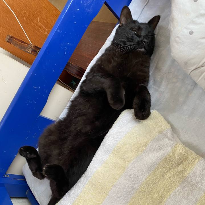 D361201b fdea 42a0 973a cc1f4510c70f 1686380559030