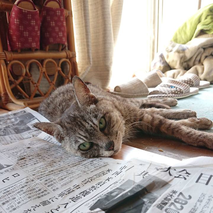 D3613605 6687 4051 88f1 23ff36c0dfa2 1598760670652