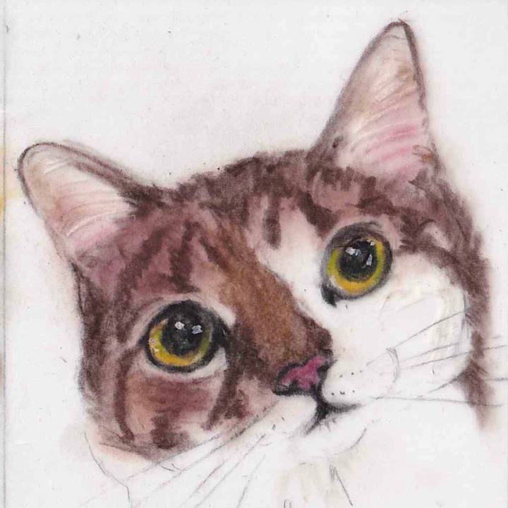 D361624e 1247 4221 bf60 d98208ed8b81 1657761034038