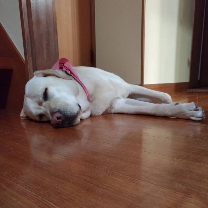 D3617488 f61f 4438 9658 dee29562ec0f 1552304502033